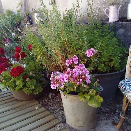 Le Piano Guest house